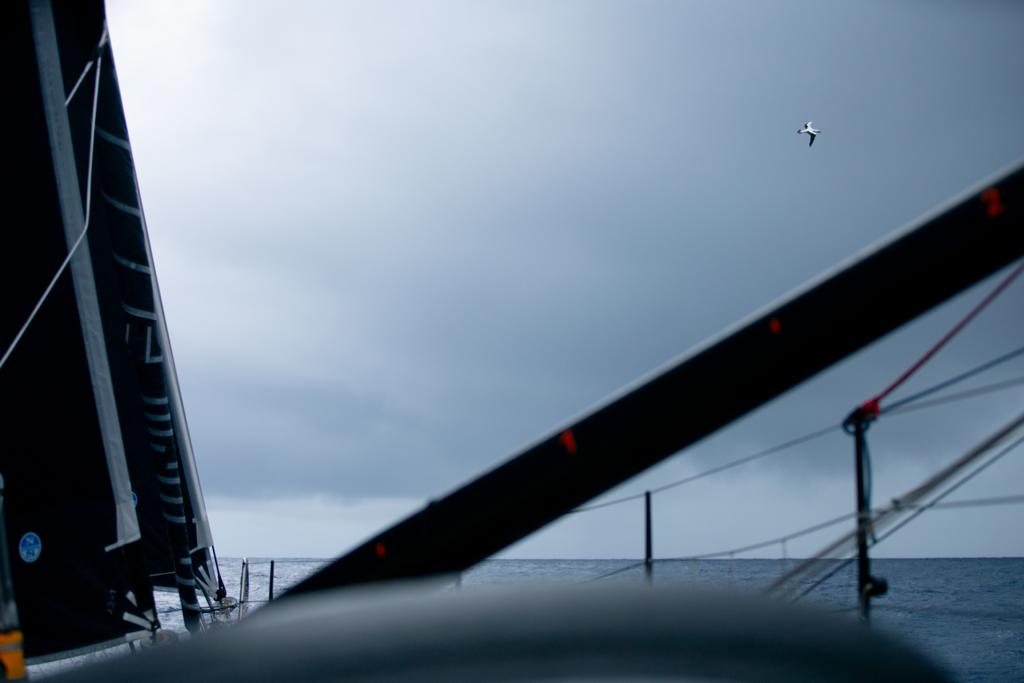 191120-amo-11hrt-delivery-day9-3 11th Hour Racing Team IMOCA 60 transatlantic
